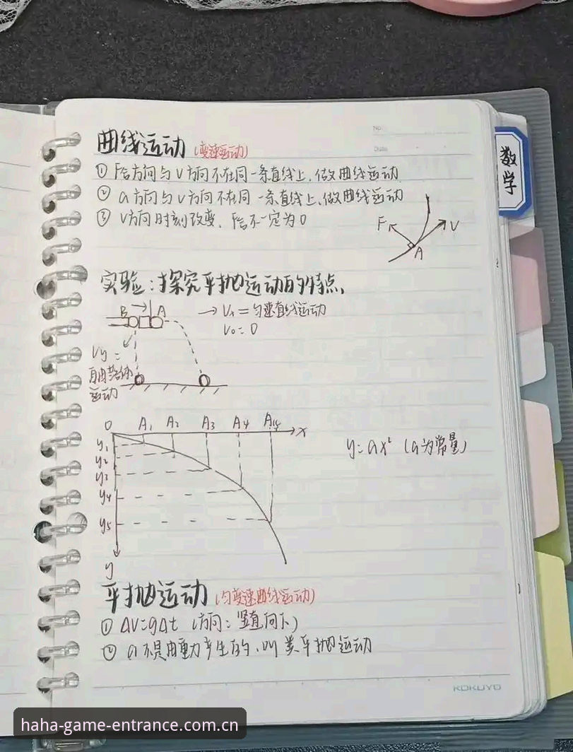 创新玩家实战笔记：haha体育娱乐深度体验与使用心得